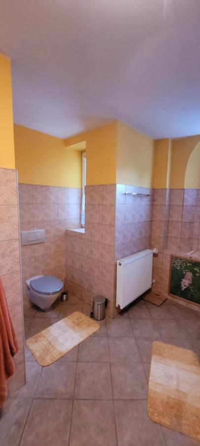 Stylowy Apartament Na Ptasiej Gorze Jelenia Góra Zewnętrze zdjęcie